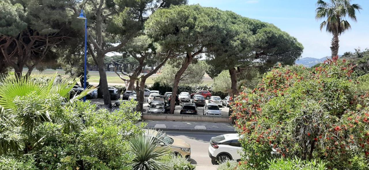 Les Iles D'Or Au Port De Hyeres Grand Studio Climatise Exterior photo